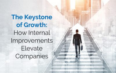 The Keystone of Growth: How Internal Improvements Elevate Companies